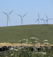Dun Law Wind Farm from the Aisle