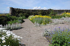 The Front of the Garden