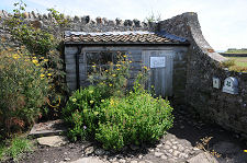 Garden Shed