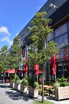 Outdoor Dining Areas