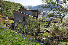 Modern Wood-Clad House