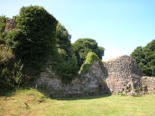 Ivy Covered Ruins