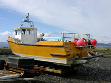 Goldeneye at Luing Harbour