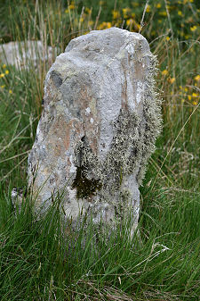 Individual Stone