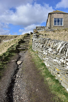 Nearly Back at the Top