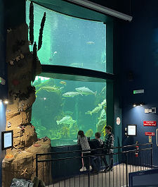 Inside the Aquarium