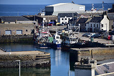 The Harbour