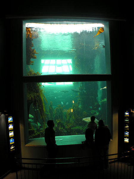 Window Into the Central Tank from the AV Theatre