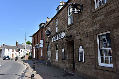 Black Bull