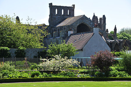Melrose Abbey Seen Over Harmony Garden