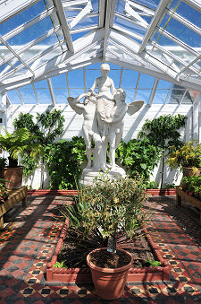 Statue in Greenhouse