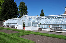 Greenhouse in Neighbouring Garden