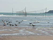 Traditional Fishing Nets