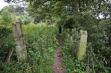 Start of the Path from the Road