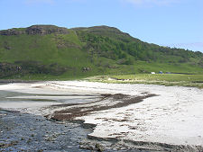 The Beach from the South