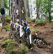 The Well in August 2025