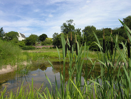Looking Back Towards Inveresk Lodge from the Meadow Pond
