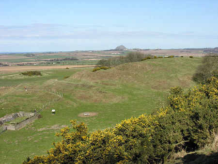 Chesters from the South-West