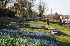 Bluebells & Gravestones in Kirkyard