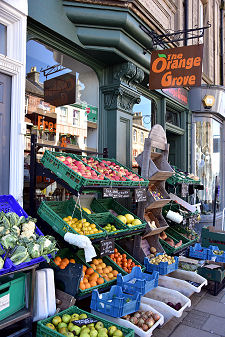 The Orange Grove