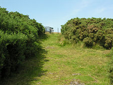 Path Leading to Hill Fort