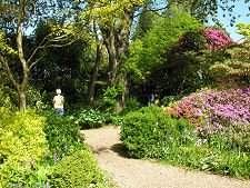 Path Within the Garden