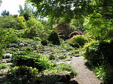 Alpine Scree Rock Garden