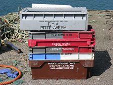 International Collection of Fish Boxes
