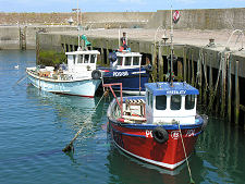 Fishing Boats in the Harbour