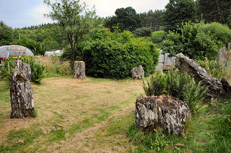 The Stone Circle from the West