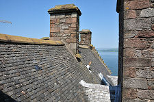 Rooftops from Tower
