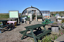Community Garden