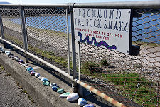 The Rock Snake