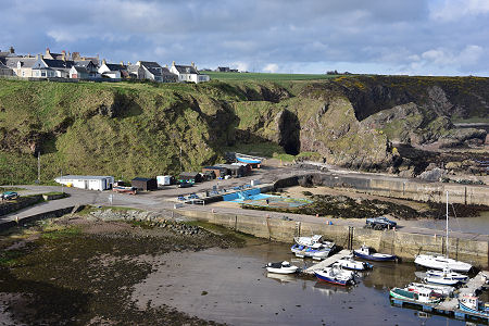 Harbour and Houses