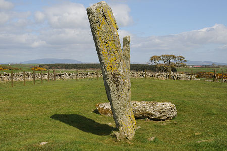 Another View of the Stones