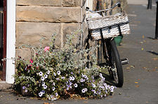 Street Corner Decoration