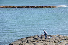 Fishing from the Rocks