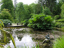 One of the Ornamental Ponds