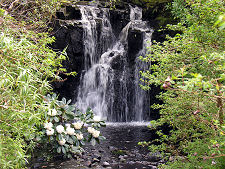 Waterfall in the Water Garden