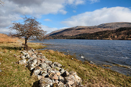 Loch Arkaig at Murlaggan