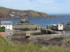 St Abbs Harbour from the South