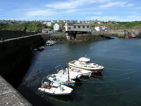St Abbs From the Harbour