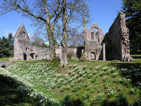 Dryburgh Abbey from the South