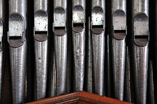 The Organ Pipes