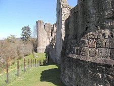 The Rear Wall of the Castle
