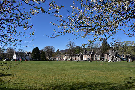 The Square