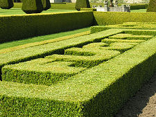 Detail of the South-Eastern Parterre