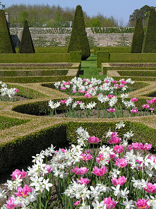 Flowers in the South-West Parterre