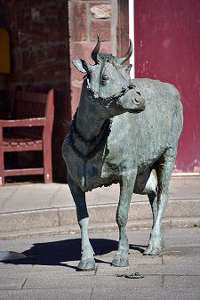 The Turra Coo
