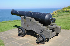 1859 Cannon